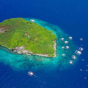 歐斯陸賞鯨鯊＆蘇米龍島一日遊