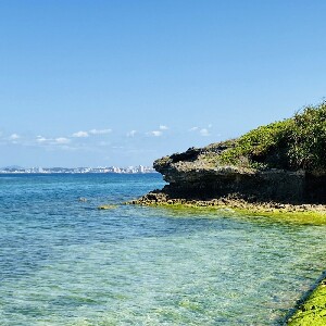 沖繩美麗海水族館高速巴士往返車票