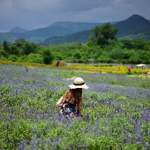 TTD 曼谷出發，暢遊考艾熱門景點包車一日遊