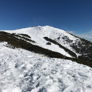 墨爾本布勒山之旅