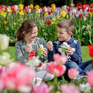 庫肯霍夫花園之旅|鄉村風光+遊船體驗
