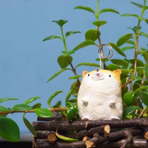 香港泥塑藝術工作坊Aura Art