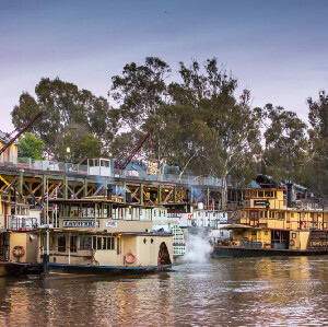 墨累河明輪船和葡萄酒之旅