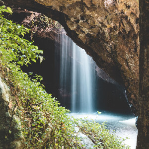 春溪國家公園和坦伯林雨林之旅