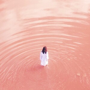 西澳大利亞粉紅湖2日遊