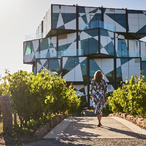 麥克拉倫谷高級全包式葡萄酒與啤酒探險