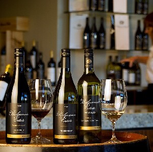 雅拉河谷酒莊導覽一日遊