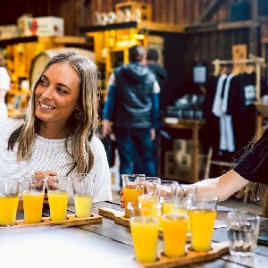 從荷巴特出發：經典全日遊