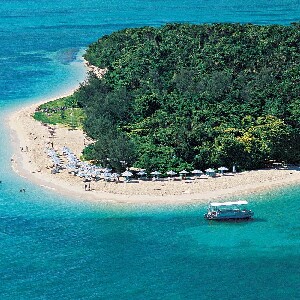 凱恩斯出發綠島半日遊珊瑚礁巡航