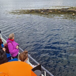 威廉堡體驗海豹島巡遊