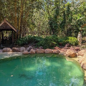 5小時熱帶花園私人導覽 & 觀光