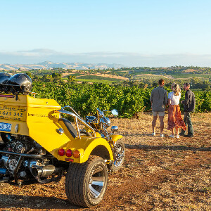巴羅薩河谷半日私人品酒之旅