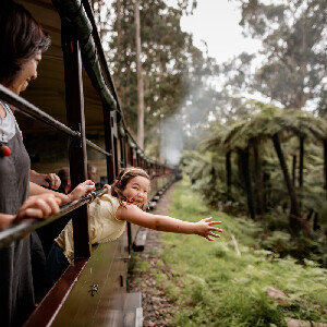 普芬比利蒸汽火車 & 企鵝歸巢之旅（含野生動物體驗）