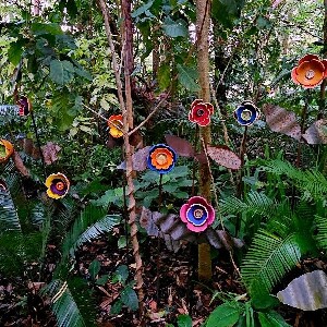 5小時熱帶花園之旅及觀光