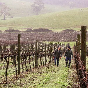 阿得雷德 Amadio 酒莊半日品酒之旅