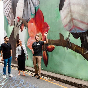 布裏斯班小酒吧和街頭藝術一日遊