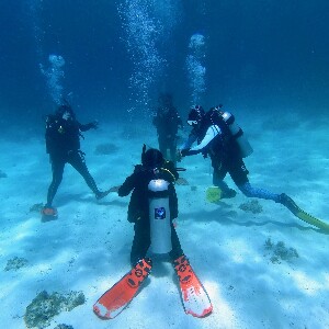 薄荷島PADI水肺複習課程體驗