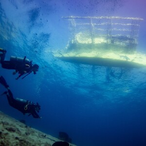 宿務未知領域初潛體驗（PADI五星級潛水中心）