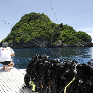 Monad & Gato島潛水一日遊（PADI五星級潛水中心）