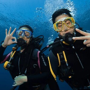 阿爾博阿爾PADI開放水域潛水體驗（PADI五星級潛水中心）