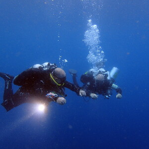莫阿爾博阿爾高氧潛水員體驗（PADI五星級潛水中心）