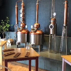 愛丁堡南loch金酒釀酒廠體驗