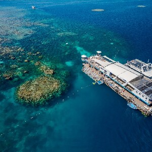 凱恩斯出發| 大堡礁浮橋船之旅
