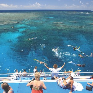 道格拉斯港出發：Low Isles浮潛體驗