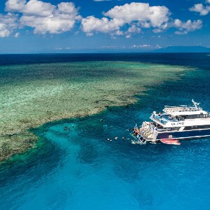 道格拉斯港、凱恩斯或北部海灘出發阿金考特礁浮潛體驗