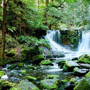 菲爾德山、邦orong野生動物保護區和裏奇蒙之旅