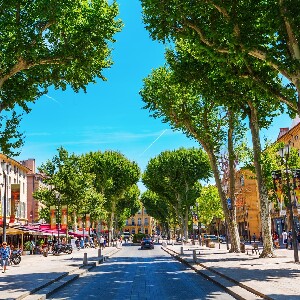 艾克斯普羅旺斯私人導覽：米拉波大道與舊城區精華