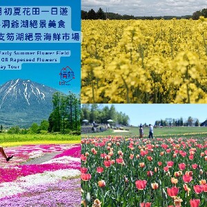 北海道初夏花田：鬱金香+芝櫻/油菜花+洞爺/支笏湖絕景美食一日遊