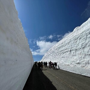 藏王雪牆＆櫻花一日遊巴士之旅