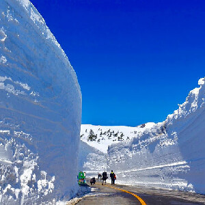【仙臺出發】藏王雪牆＆賞櫻一日遊