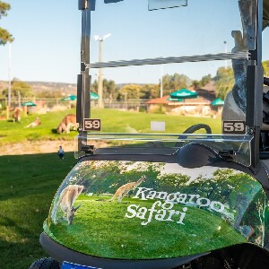 天鵝谷野生袋鼠邂逅 & 迷你高爾夫之旅