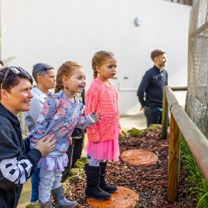 伯斯野生動物互動體驗＆動物醫院之旅