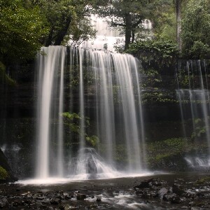 菲爾德山、野生動物、威靈頓山一日遊