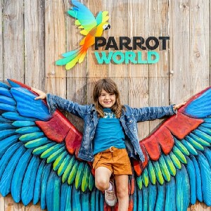 克雷西拉沙佩勒鸚鵡世界門票