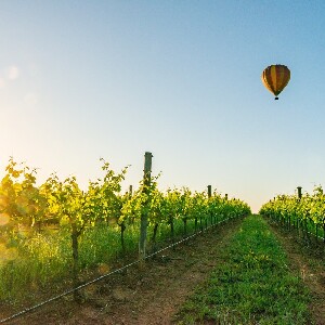 馬奇日出熱氣球飛行體驗