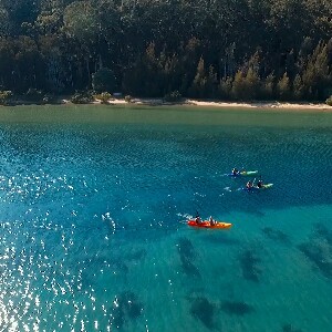 卡倫杜拉保護區玻璃底皮劃艇之旅