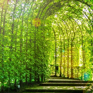 愛丁堡出發| 聖島、阿尼克城堡和諾森伯蘭之旅