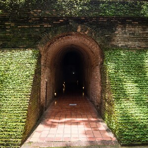 清邁素帖山健行半日遊及全日遊