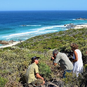 海岸與野生動物生態半日遊