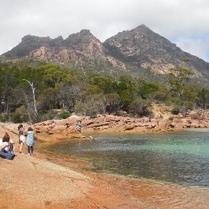 朗塞斯頓| 酒杯灣與費爾德國家公園一日遊
