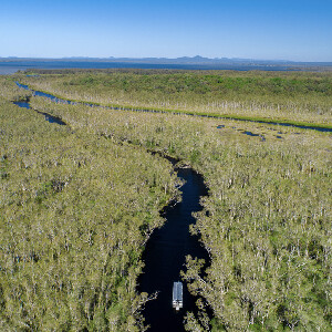 努沙大沼澤探險之旅