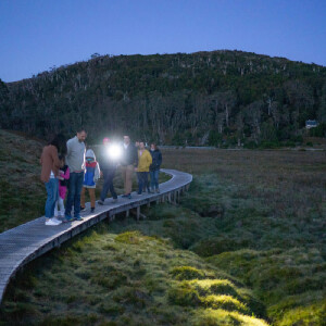 搖籃山夜間觀星之旅