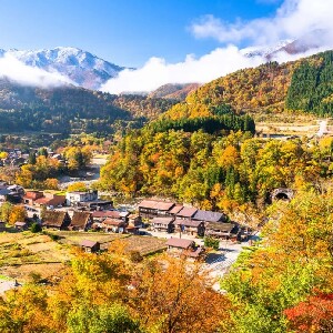 日本名古屋｜飛驒高山/白川鄉客製化包車一日遊