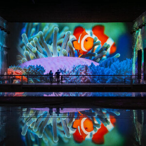 波爾多萊斯-盧米埃斯灣（Les Bassins des Lumieres）快速通道門票