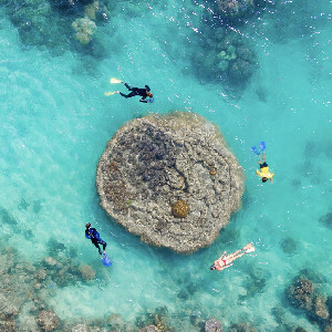 搭乘觀光飛機與海洋漂流，體驗飛筏之旅