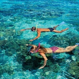 渡輪船票：凱恩斯 - 綠島